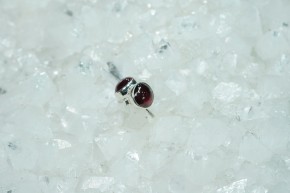 Rhodolith-Granat-Ohrstecker / rund