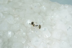 Citrin- Ohrstecker / Tropfenform / facettiert