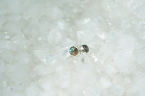 Labradorit-Ohrstecker - rund -925'er Silber